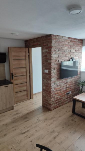Apartmán BASARIJA